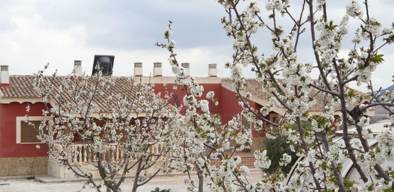 Alojamientos Casa Ruiz Archivel エクステリア 写真
